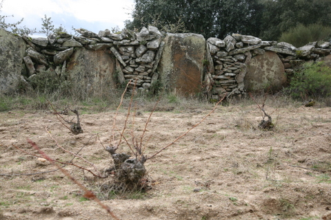 Paredes de granito en Forniellos de Fermoselle